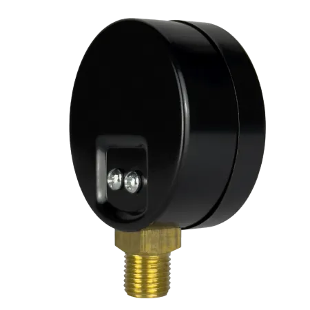 Манометр радиальный MAXPUMP 63 мм